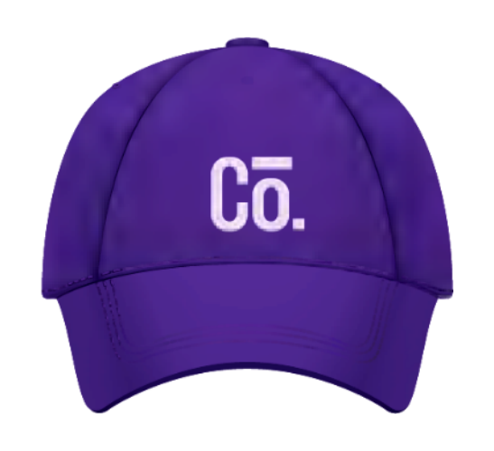 promo logo hat